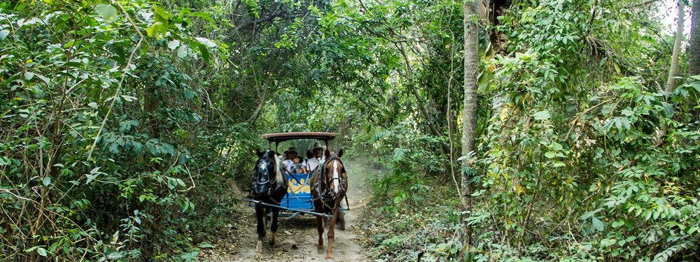 Guembe Biocentro & Resort Santa Cruz de La Sierra Εξωτερικό φωτογραφία